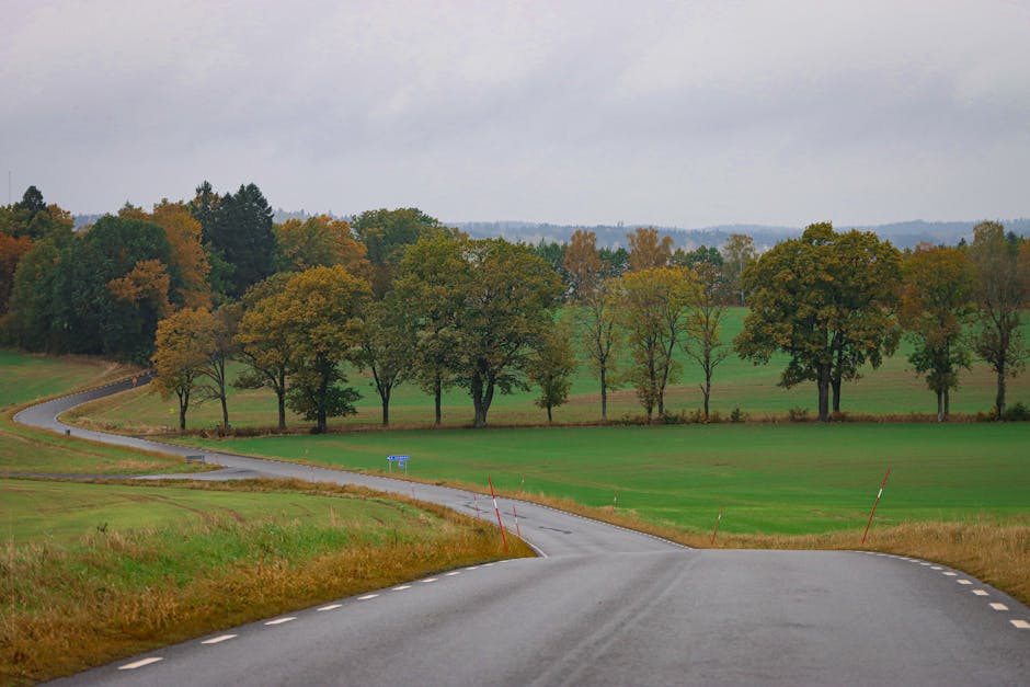Kontroll av vagkant och slitlager langs en lokal stracka