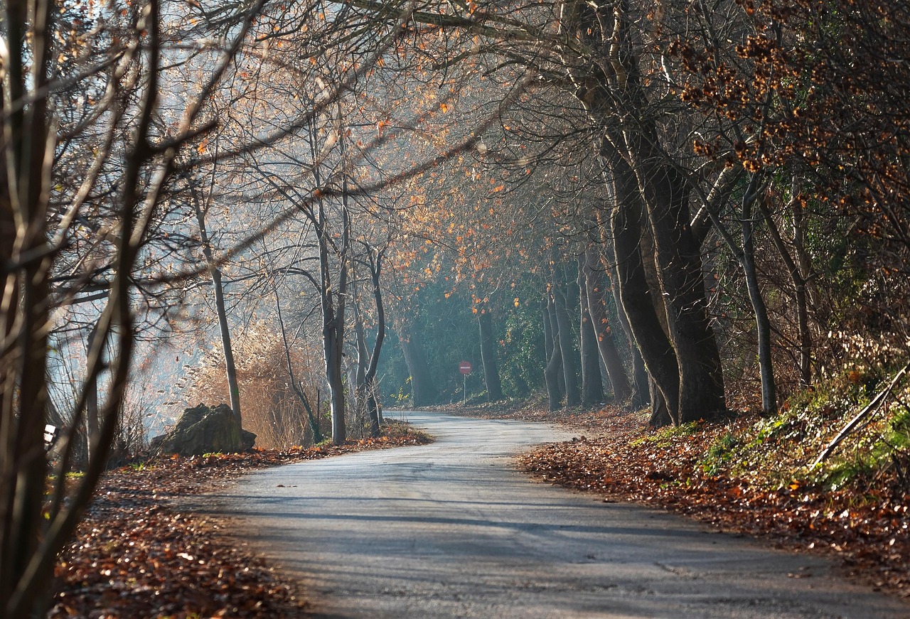 Landscape image linked to a winter access article
